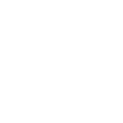 Harlem Next logo