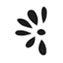 Dijk Natural Collections logo