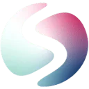 Present Savvy logo