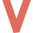 Netwerk ViZi logo