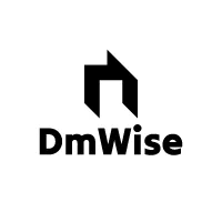 DmWise logo