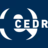 ICARUS logo