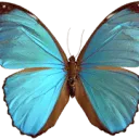 Envirom Green logo