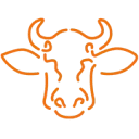 Boetech Meps International logo
