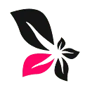DivFlo B.V. logo