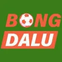 Digital Present NL logo