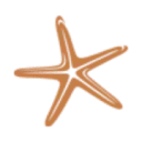 St(r)andplaats Nederzandt logo