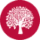 Americans Overseas logo