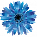 Uw Dynamics Partner logo
