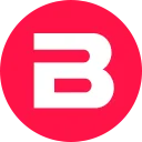Balluff B.V. logo