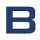 Brouwer Technology B.V. logo