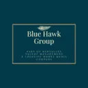 Blue Hawk Management logo