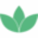 050media logo