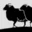 Noordwijktrial logo