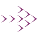 VOGELVLUCHT BV logo