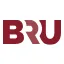 BRUWISE Groep logo