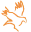 De Groot Coevorden B.V. logo