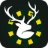 Logo van Weldraad
