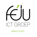 Féju ICT Groep B.V. logo