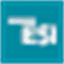 TNO-ESI logo