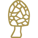 Restaurant Morille logo