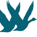 Drowgoo logo