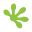 Gecko Covers logo