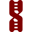 U.L.S.V. Amino logo