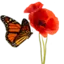 Praktijk voor Persoonlijke Groei logo