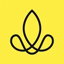 Sense Company logo