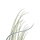 Duinweide Investeringen NV logo