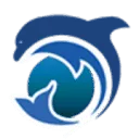 DolphinSolutions BV logo