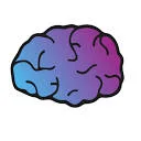 BrainDrills logo