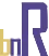 Business Netwerk Rijnmond logo