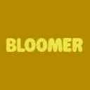 Bloomer Flowers logo