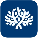 Native Consulting logo