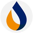 DCS Solutions logo
