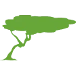 Geotron Caribbean logo