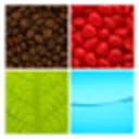 Meesterschap-koffie logo