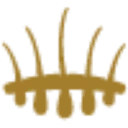 Hair Science Clinic logo