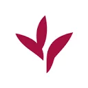 Delphy International logo