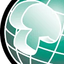 Dutch Mushroom Equipment BV logo