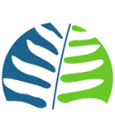 Silver Fern B.V. logo