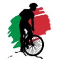 Altissimo Bikes logo