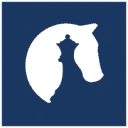 HCSS - The Hague Centre for Strategic Studies logo