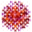 disAMR logo