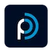 Perfect Drive logo
