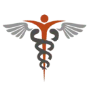 RISE Labs BV logo