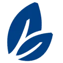 Vidanova Bank logo