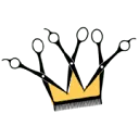 Kapsalon Prinsheerlijk logo